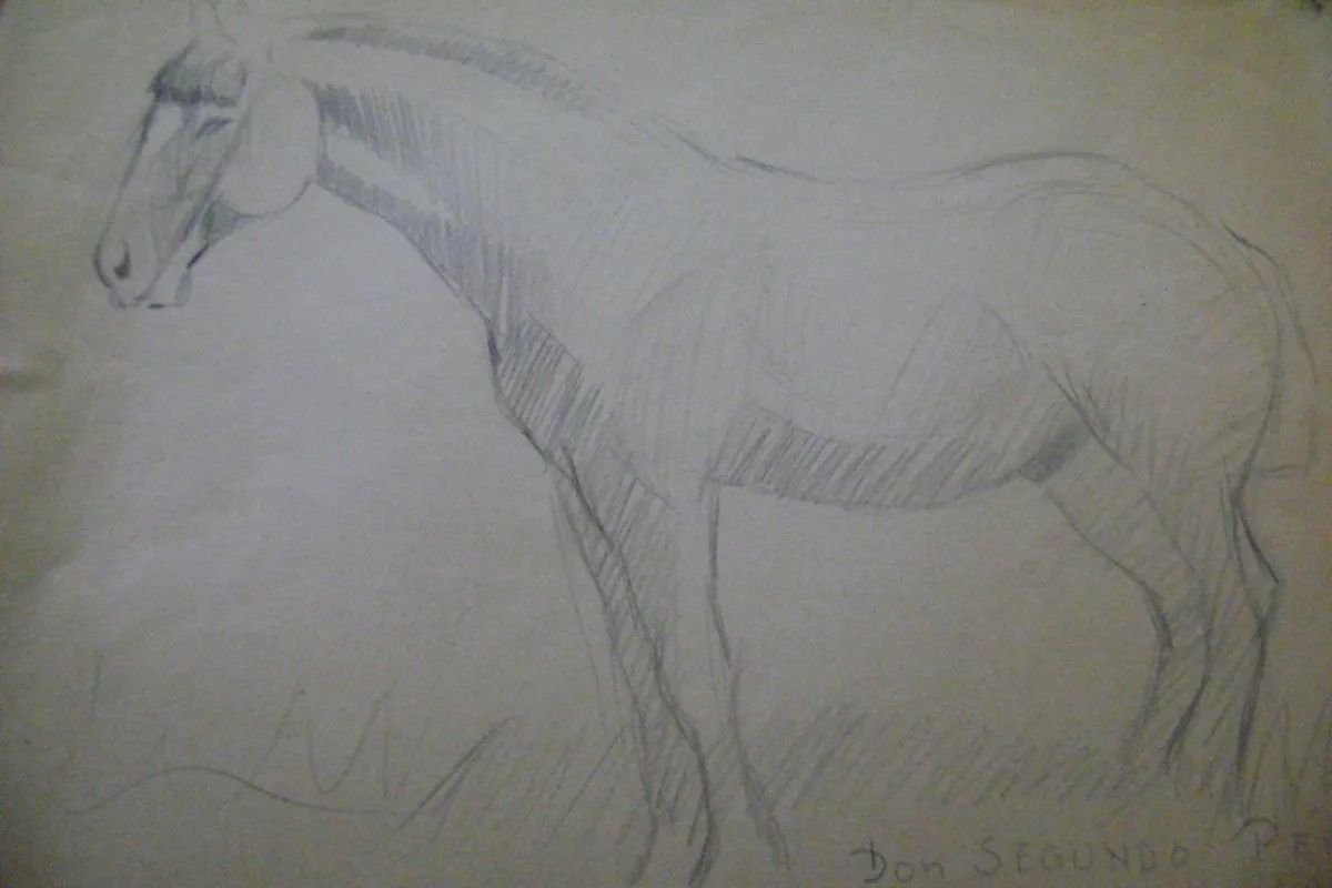 drawing with pencil , Horse , Segundo Perez  - artist from Argentina
