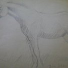 drawing with pencil , Horse , Segundo Perez  - artist from Argentina