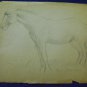 drawing with pencil , Horse , Segundo Perez  - artist from Argentina