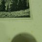 antique  etching  German landscape - Alpspitze - illegible signature .