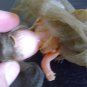 vintage miniature Doll ind. Argentina plastic
