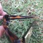 vintage  sunglasses Guy Laroche Tortoise color