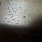 antique Trinket box Casket Tin Box Erhard & and Sons