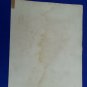 1761 engraving with hand color.  EDWARDS GEORGE Lefsen Cockatoo