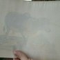 18th engraving with hand color.  EDWARDS GEORGE Indian Buffalo