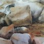 watercolours  original  Gwen Laughlin  creekside