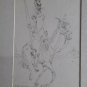 Don Quijote , Drawing on paper , Guillermo Benguria Argentine Artist