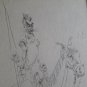 Don Quijote , Drawing on paper , Guillermo Benguria Argentine Artist
