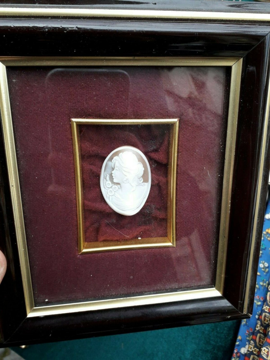 old  Cameo shell carved  Framed