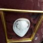 old  Cameo shell carved  Framed
