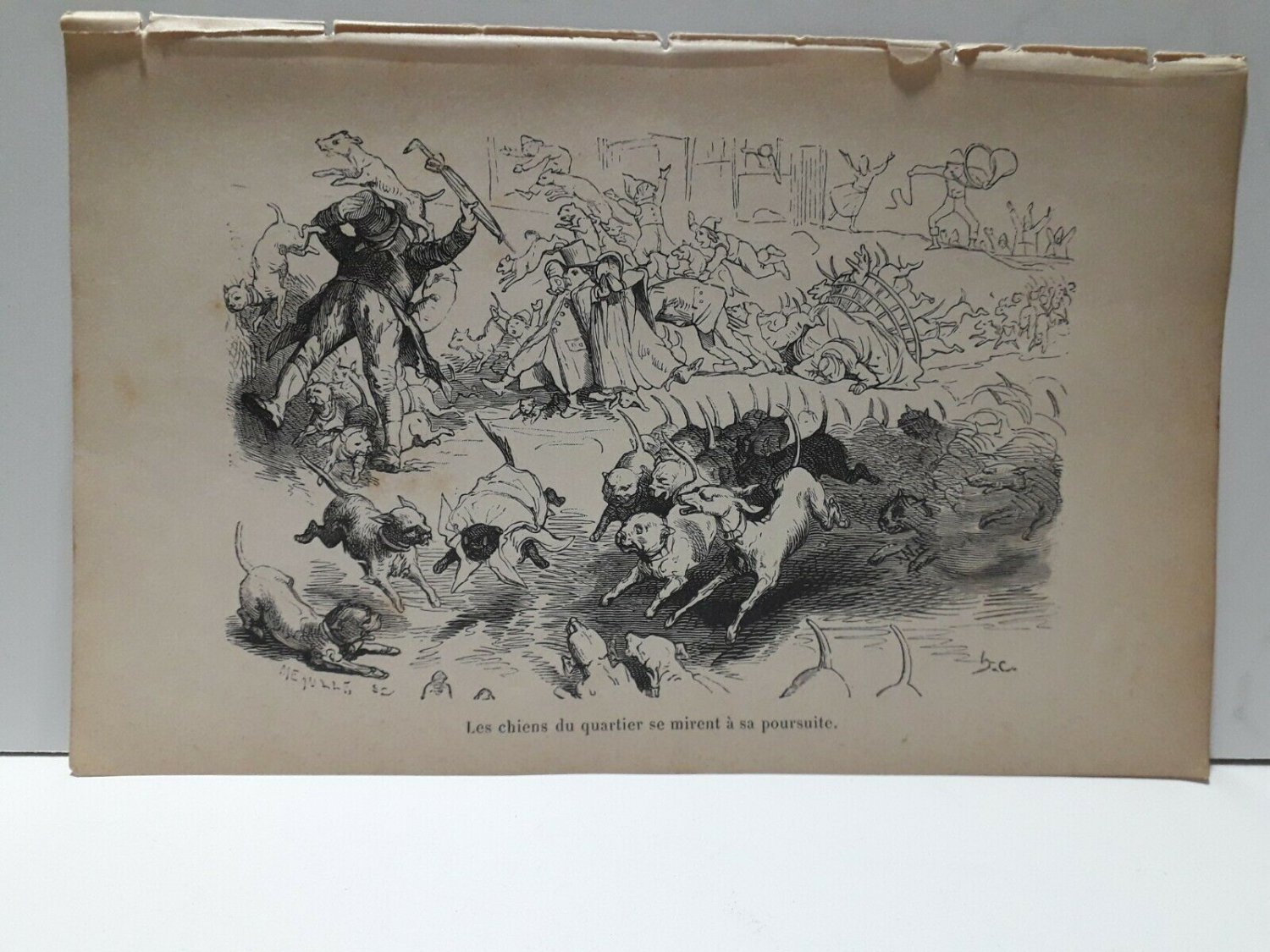 old engraving print extracted book 1893 Le Bon Petit Diable, les chiens du quart