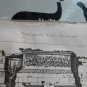 old engraving print 1836  Monuments  Gallo -Romains   Arc d&Acirc;&acute;Orange