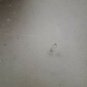 Rare Original drawing on paper colors ink   artist R. M&Atilde;&frac14;ller  1926