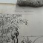 old engraving print extracted book 1836 Monuments Gallo Romain . Costumes Gauloi