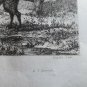 old engraving print 1836 Animatix that have disappeared from the soil of France