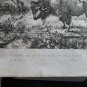 old engraving print 1836 Animatix that have disappeared from the soil of France