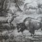 old engraving print 1836 Animatix that have disappeared from the soil of France
