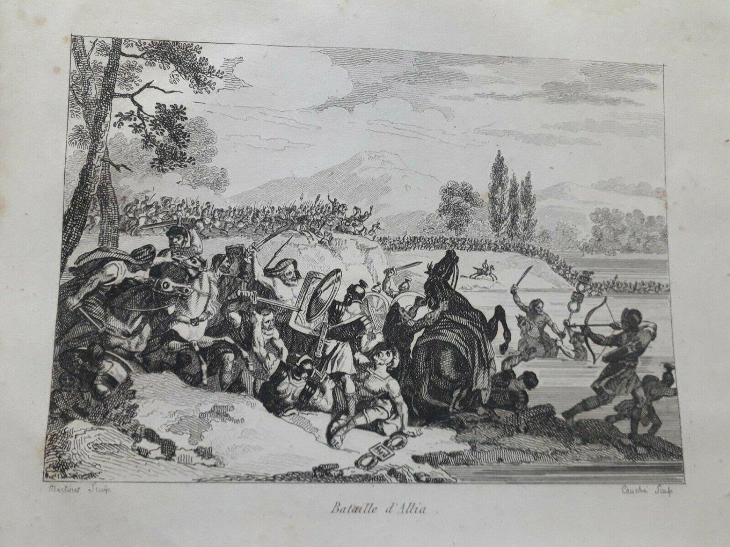 old engraving print 1836    Bataillia d&Acirc;&acute;Allia