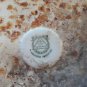 old  porcelain plate SIDE State Intelligence Secretariat  Rep. Argentina