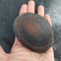 ashtray in brown agate stone fragment