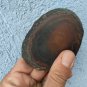 ashtray in brown agate stone fragment