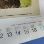 old poster almanac 1982 artist Paul Klee month January 1982