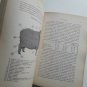 Book Libro Razas Ovinas Pablo Link  1937