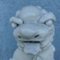 old White Chinese porcelain foo dog. details