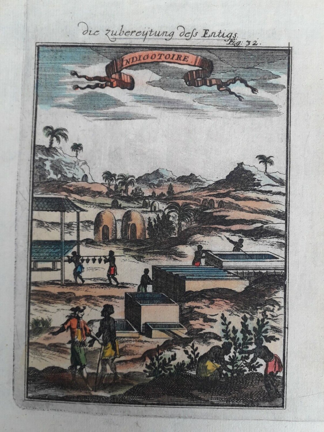 old engraving color Indigotoire die zubereytung defs Entigs  MANESSON-MALLET