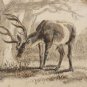 old drawing on paper with pencil deer. signed initials BA 18..