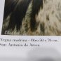 old poster Carola Taddeo horse yegua madrina san antonio de Areco,Argentina