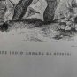 engraving Jefe indio armado en guerra, de  America Lacoste  Imp S.Racon