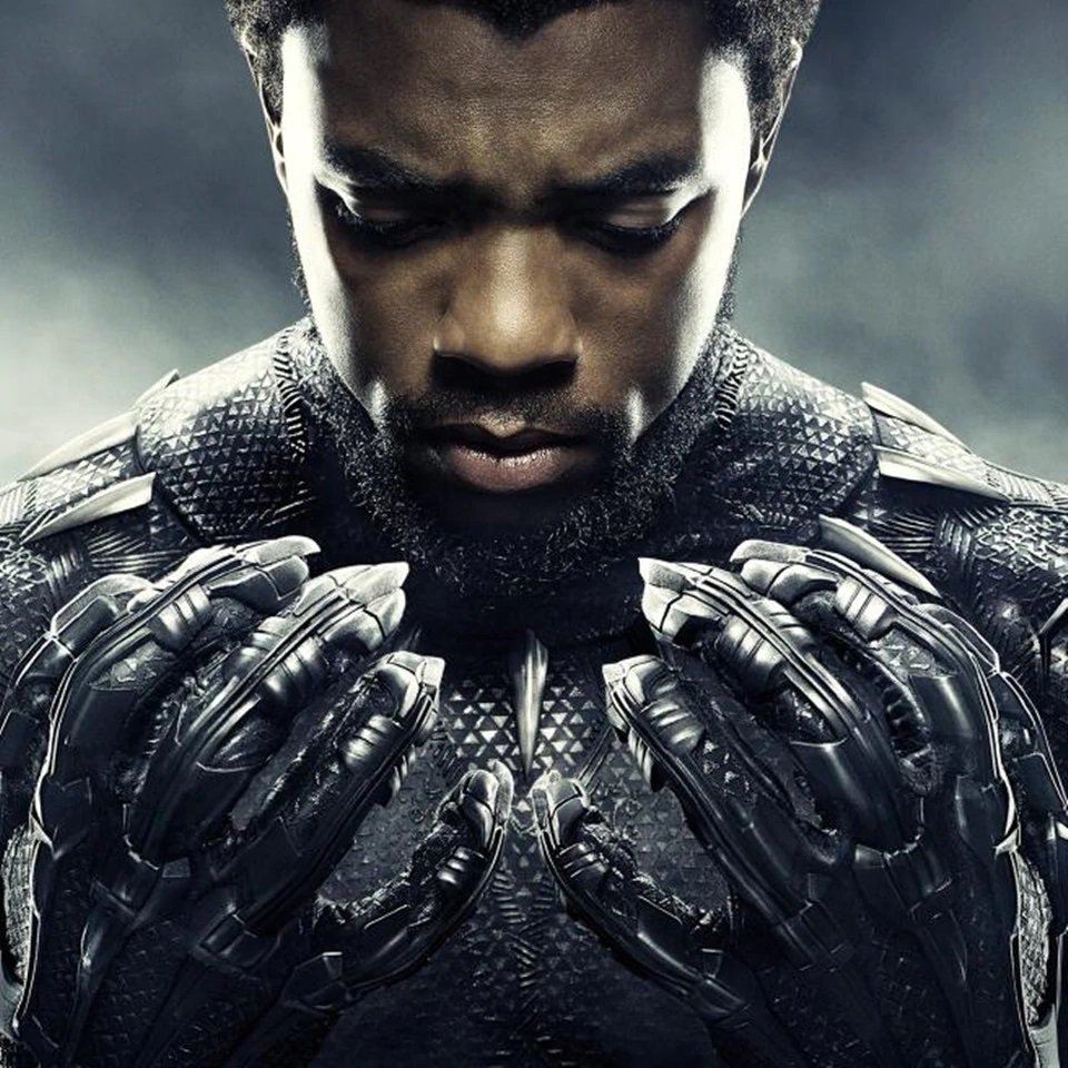 Black Panther Chadwick Boseman Wakanda T'Challa 16 Claws ...