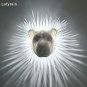 Lofytain LED Animal Projection Lamp Owl Lion Eagle Night Light Animal Wall Sconce Halloween Deco