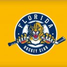 Florida Panthers Flag 3x5ft-6