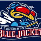 Columbus Blue Jackets Column Flag 3x5ft-2