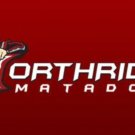 Cal State Northridge Matadors Wordmark Flag 3x5ft