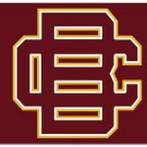 Bethune Cookman Wildcats Banner Flag 3x5ft-1