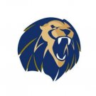Arkansas Fort Smith Lions Flag 3x5ft