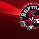 Toronto Raptors Flag 3x5ft-4