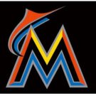 Miami Marlins Banner Flag 3x5ft-3