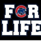 Chicago Cubs For Life Banner Flag 3x5ft