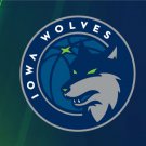 Minnesota Timberwolves Flag 3x5ft-6