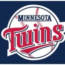 Minnesota Twins Logo Banner Flag 3x5ft-4