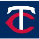 Minnesota Twins Logo Banner Flag 3x5ft-3
