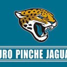 Jacksonville Jaguars Puro Pinche Flag 3x5ft
