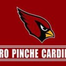 Arizona Cardinals Puro Pinche Sports Team Flag 3x5ft