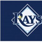 Tampa Bay Rays Flag 3x5ft-2