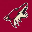 Phoenix Coyotes Flag 3x5ft-3