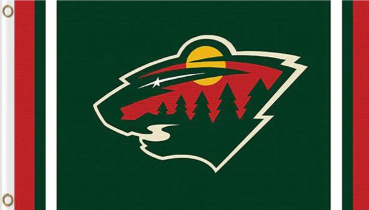 Minnesota Wild Flag 3x5ft-1